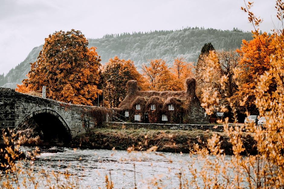 Finding‍ Common Ground: Building Bridges in⁣ Times of⁣ Discord
