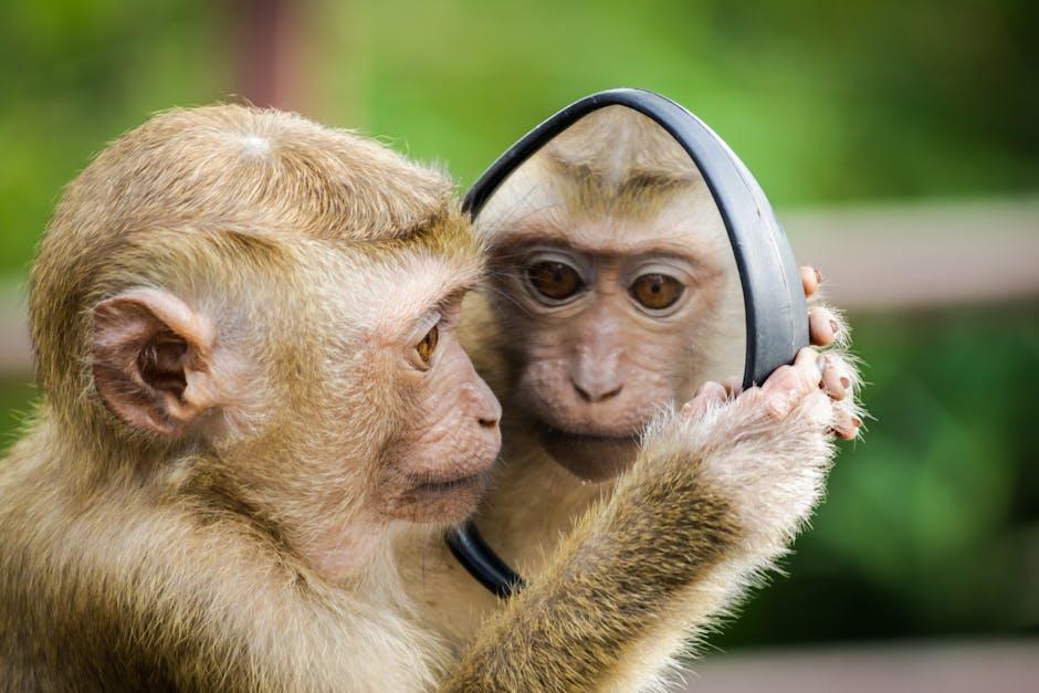 Building Confidence Through Self-Awareness