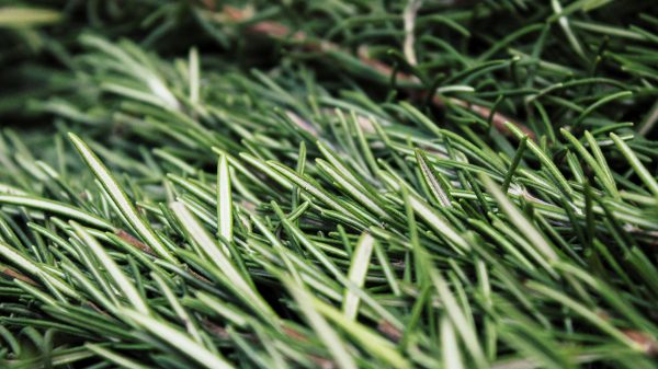 How to know if there’s chemistry on the first date