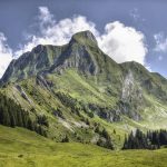 How to use shared goals to build emotional connection