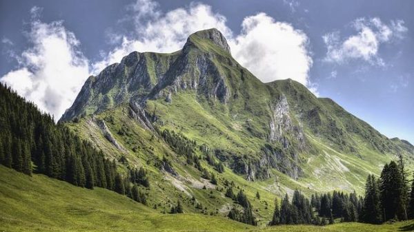 How to use shared goals to build emotional connection