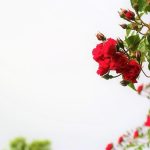 How to Embrace Rejection and Keep Your Confidence High