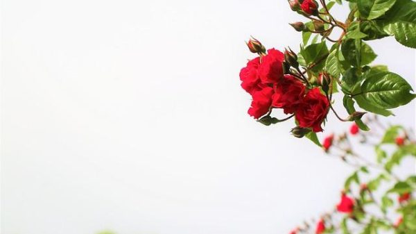 How to Embrace Rejection and Keep Your Confidence High