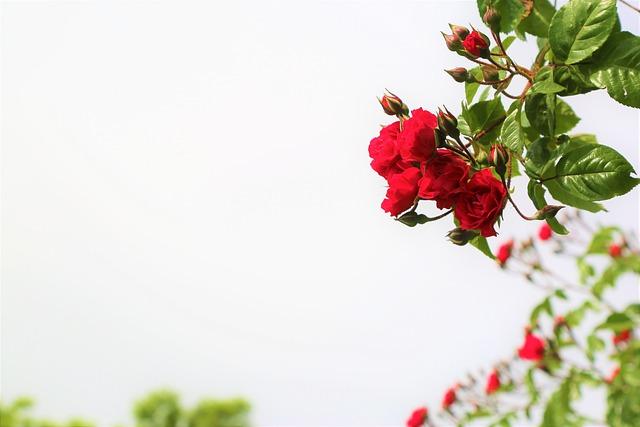How to Embrace Rejection and Keep Your Confidence High