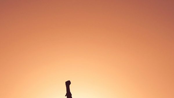 Are Power Dynamics in Relationships Harmful or Normal