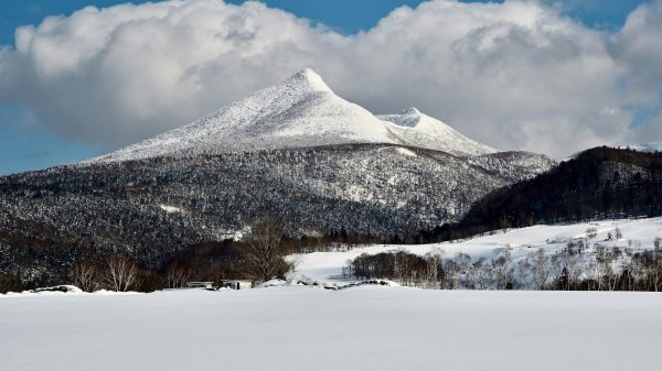 How to stay optimistic after being ghosted by a date