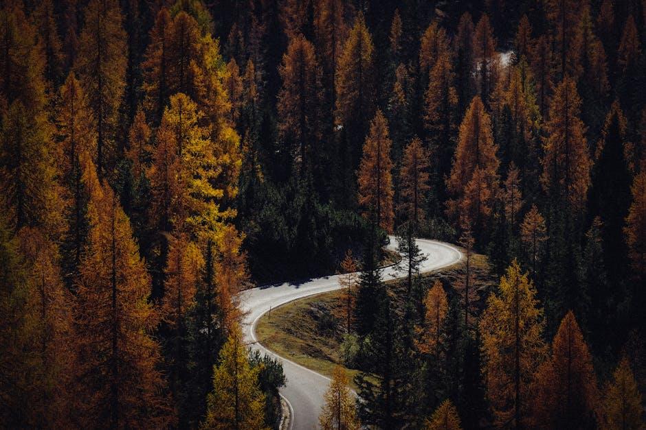 Exploring Hidden Gems​ for a Cozy Experience
