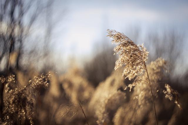 Nurturing Individual Growth Within the Partnership