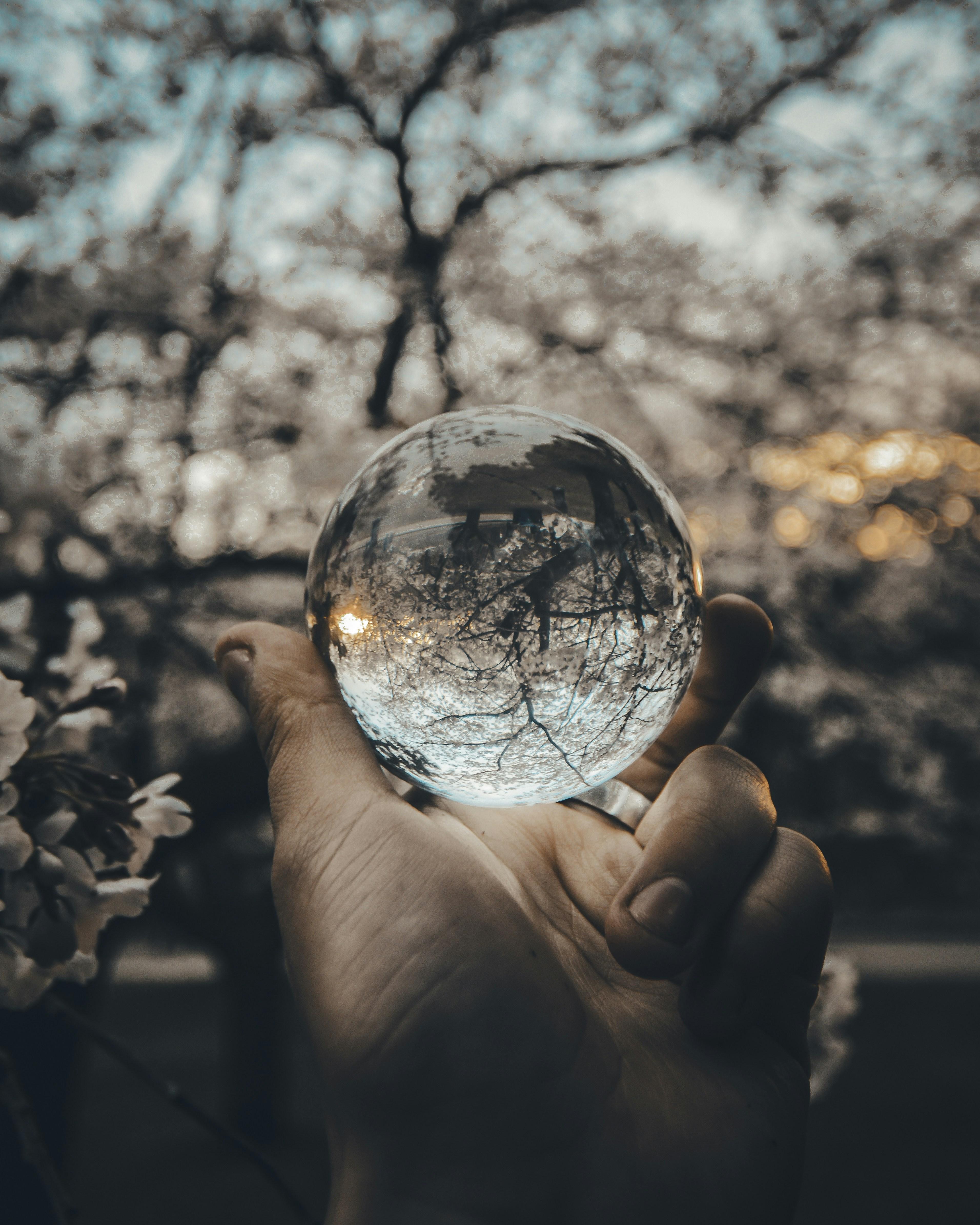 Harnessing Self-Reflection to Boost Inner Assurance