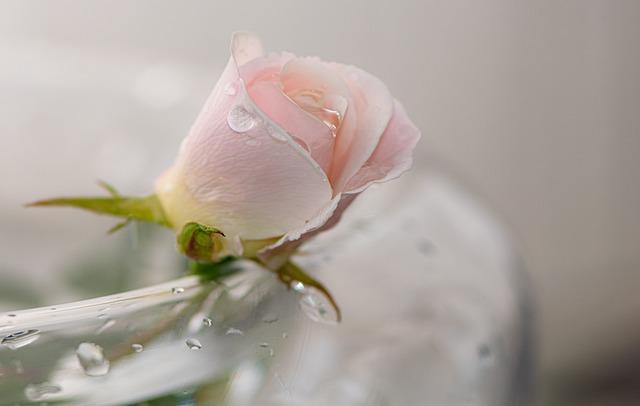 Harnessing Inner Peace: Techniques for Maintaining Calm Under Pressure