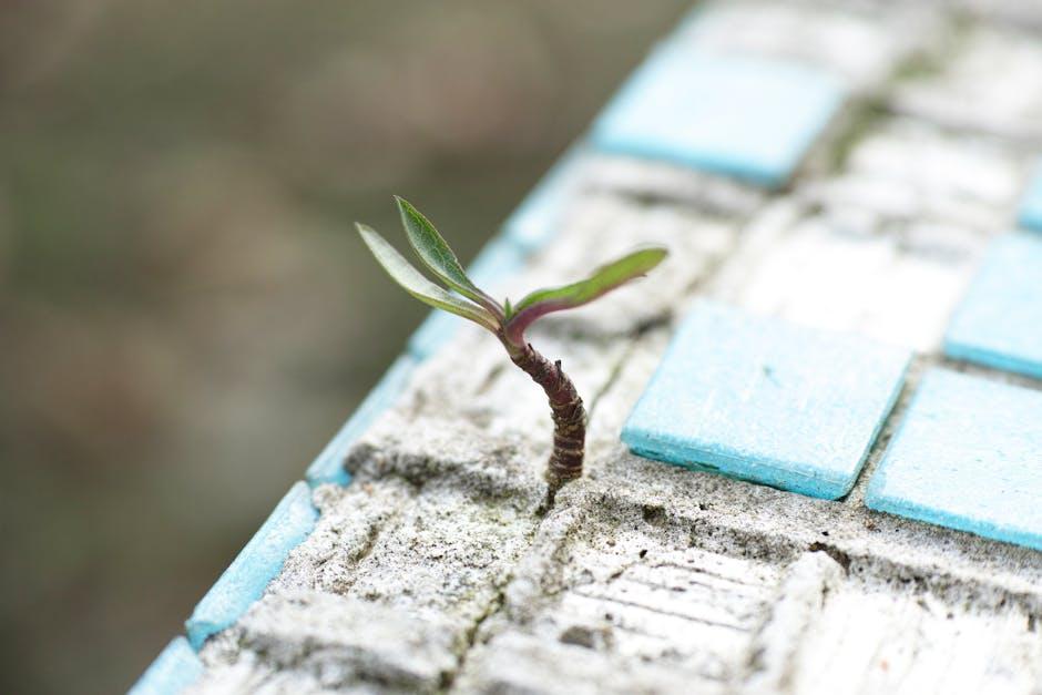Embracing Resilience as a Tool for Growth