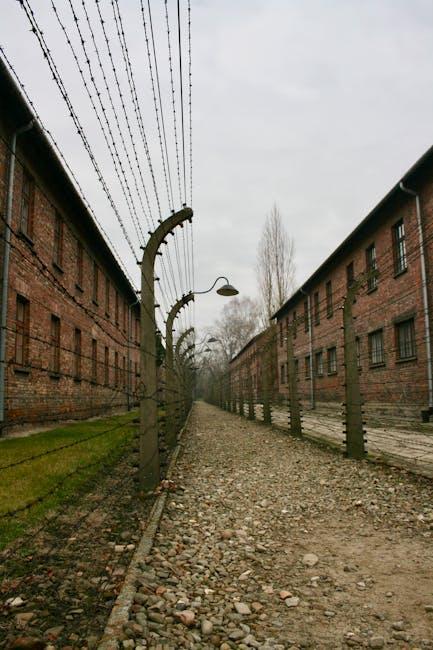 Cultivate Resilience Through Mindful Practices