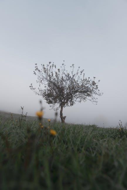 Transforming Rejection into Opportunities for Growth