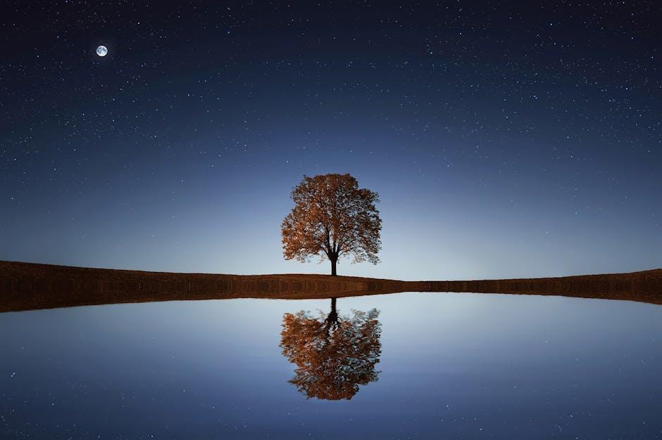 Harness the Power of Reflection for Personal Growth