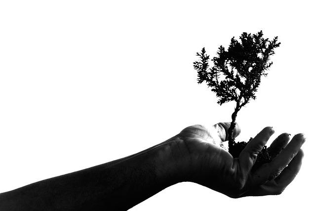 Rediscovering Yourself: Channeling Energy into Personal Growth
