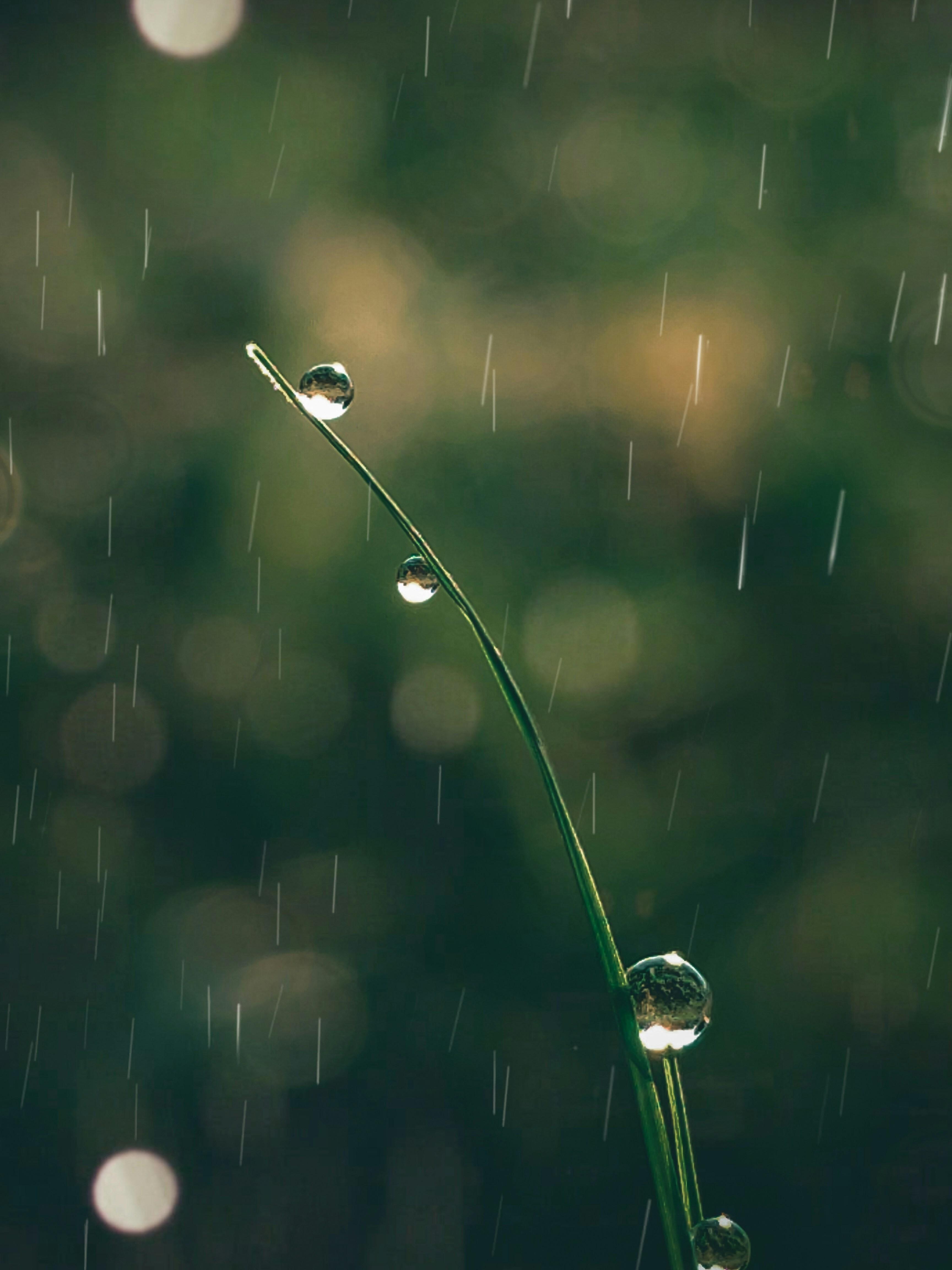 Navigating Conflict with Grace and Patience