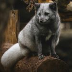 How to maintain trust in a relationship over the long term