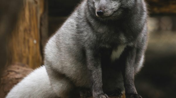 How to maintain trust in a relationship over the long term