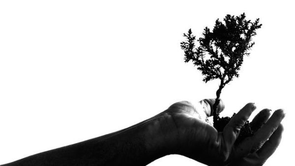 How to manage personal growth and relationship growth at the same time