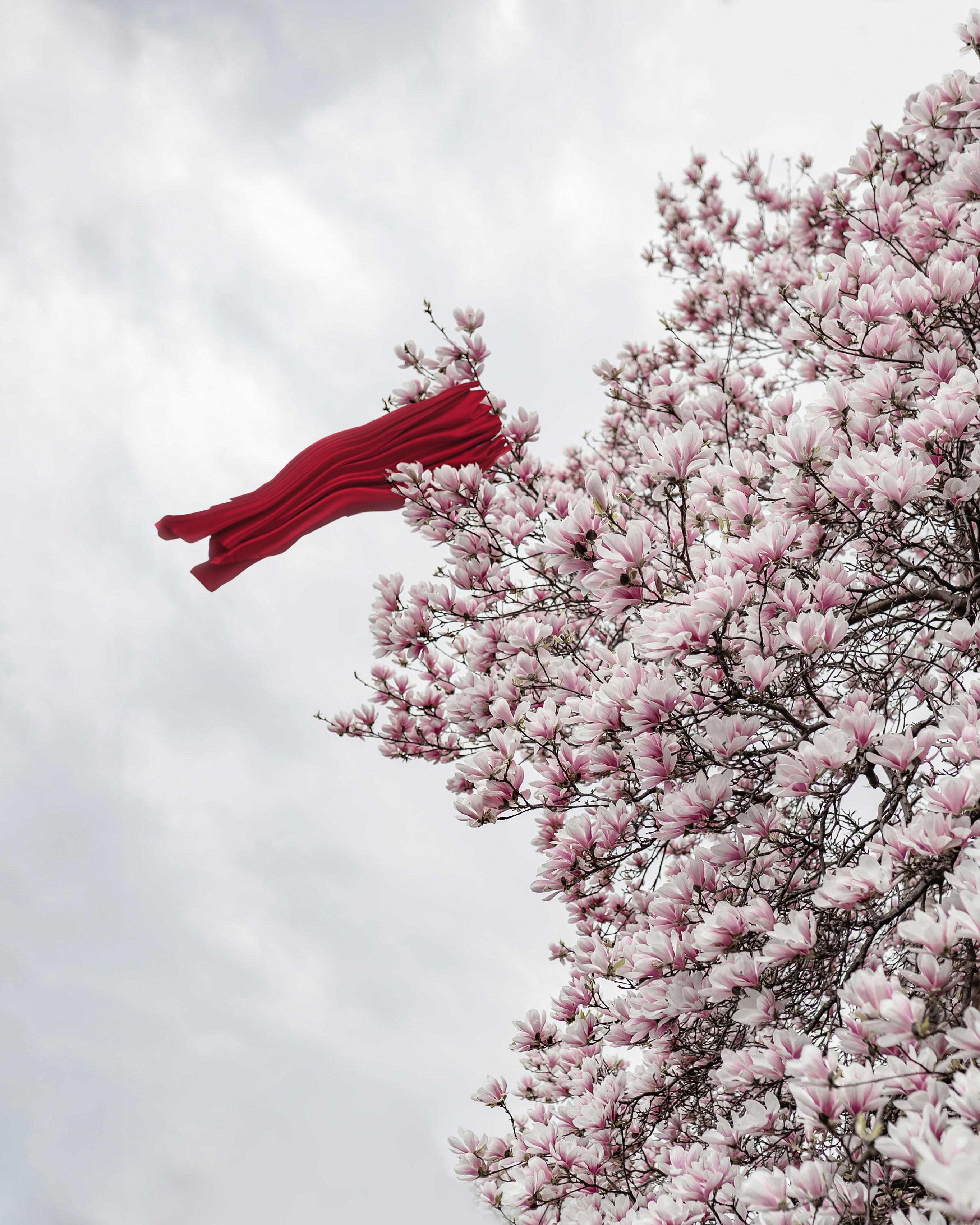 Balancing Act: Differentiating Between Caution and Overcritical Judgment