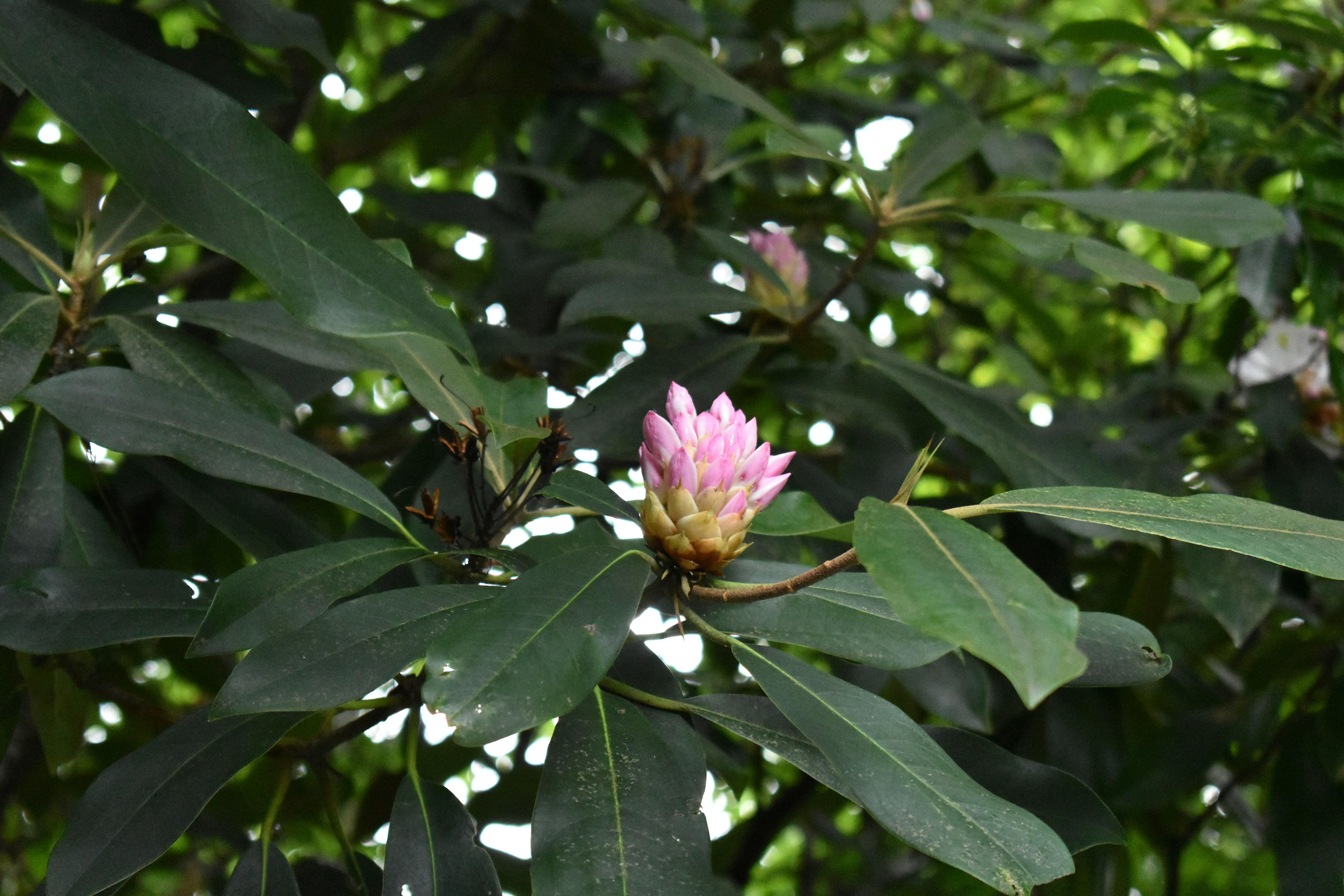 Cultivate Self-Compassion as Your Guiding Light
