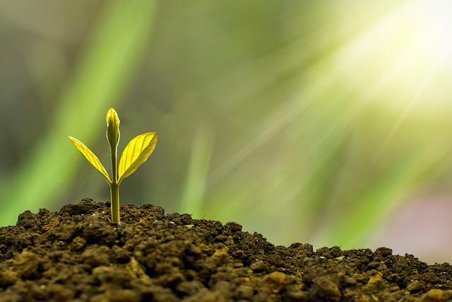 Cultivate a Growth-Oriented Mindset