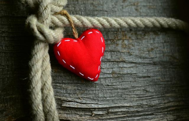 The Power of Touch in Building Emotional Bonds