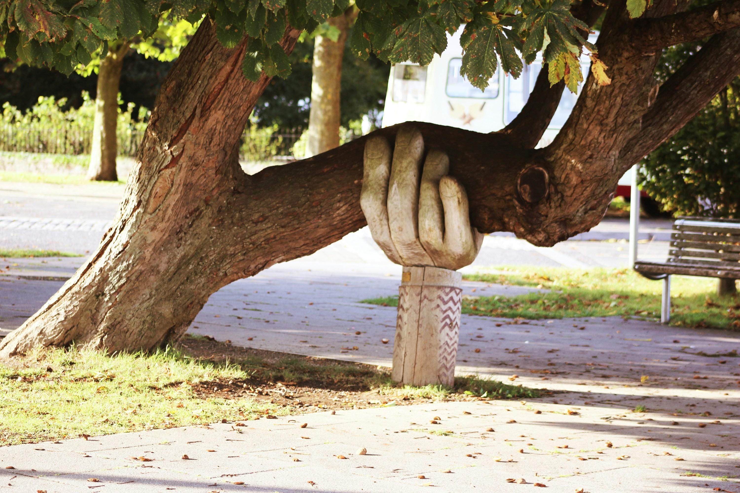 Building a Strong Support System