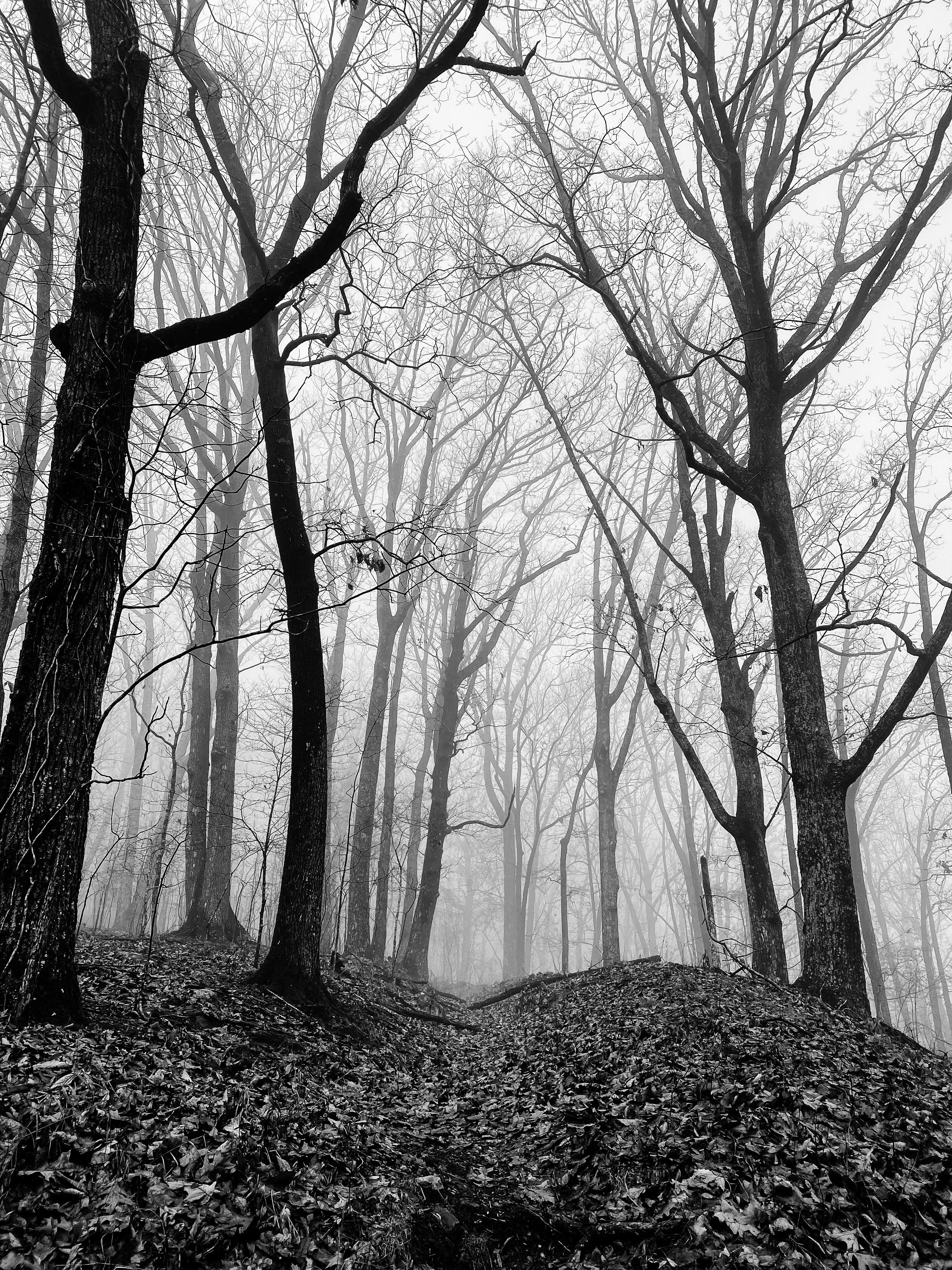 Balancing Vulnerability and Authenticity in Conversations