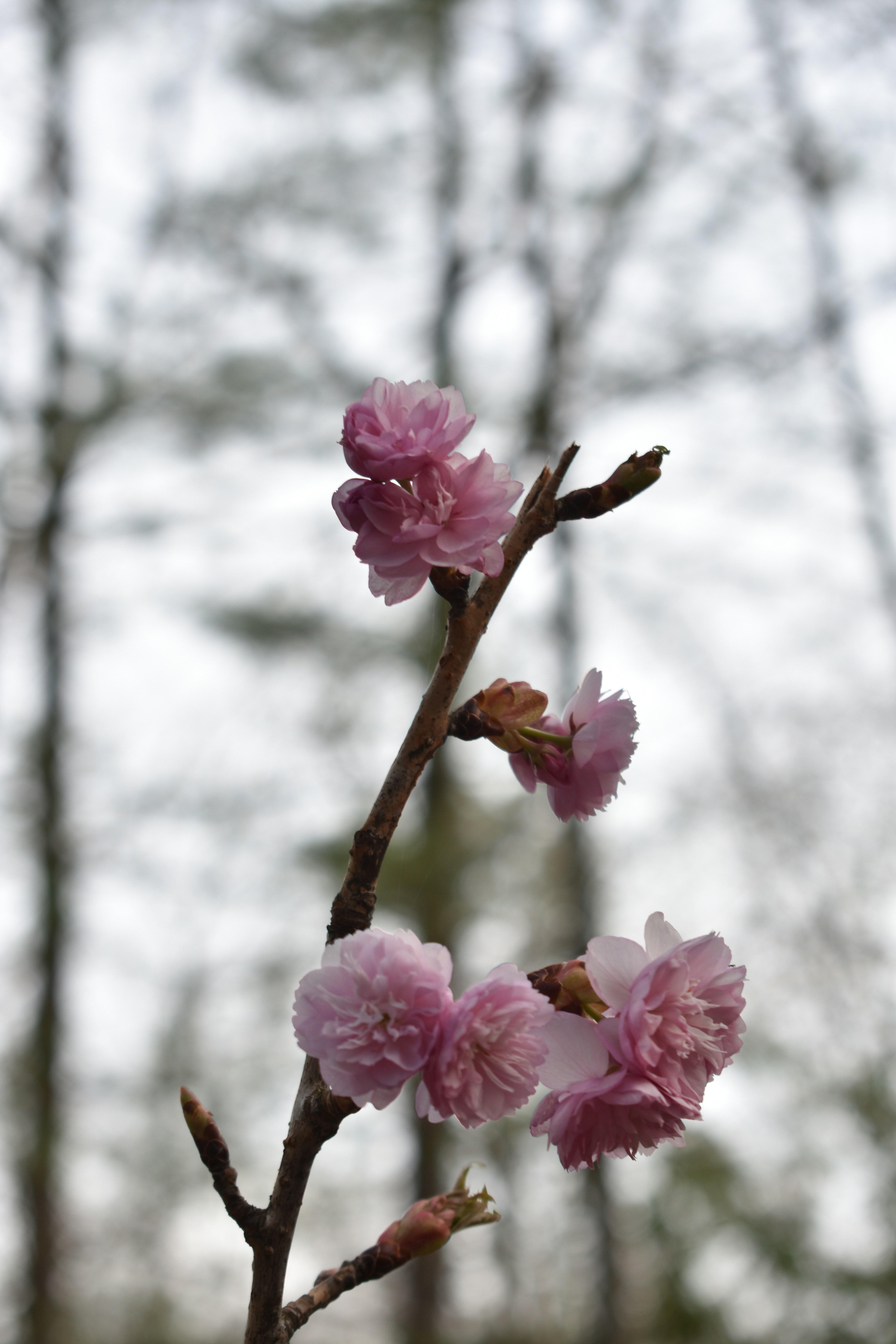 Cultivating Self-Compassion to Rebuild Your Confidence
